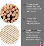 Ziffs Home® 120pcs Natural Fibre Reed Diffuser Sticks - 25.4cm/10in x 4mm/0.16in - Thick Reeds Sticks - Fibre Reeds for Diffusers