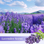 SCENTORINI Shelf Liners for Kitchen Cabinets Non-Adhesive, Lavender Scented Drawer Liners, 14.3 x 19.6 Inch 6 Sheets, for Dresser Bedroom Shelf Closet