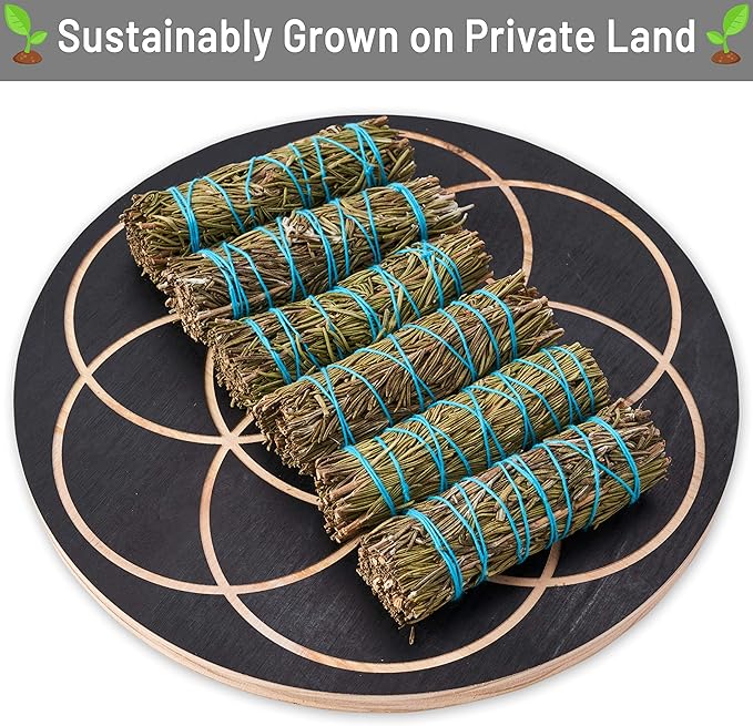 Rosemary Smudge Sticks 4 Inch | Rosemary Sage Smudging Wands | Wholesale Sage Bulk Sage Kit | Salvia Blanca para Limpiar | Sustainably Sourced California Sage