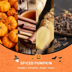 Airkeep Reed Diffuser Set,3.38 fl oz (100 ml) - Spiced Pumpkin Oil Diffusers with 8 Reed Sticks, Home Fragrance Reed Diffuser for Bathroom Shelf Decor