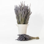 Victoria's Lavender Pillow and Linen Spray Sleep Better Tonight, Pure Lavender Essential Oil Handmade in Oregon, Made in USA (8 oz)