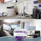 SMELLS BEGONE Odor Eliminator Gel Beads - 12 oz, Pack of 2 - Eliminates Odor in Bathrooms, Cars, Boats, RVs & Pet Areas - Air Freshener - Made with Essential Oils - Lavender Vanilla Scent