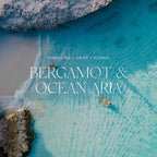 Antica Farmacista Home Ambiance Diffuser, Bergamot and Ocean Aria, 8.45 Fl Oz