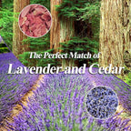 Cedar Space Lavender Sachet Bags for Drawers and Closets(24 Pack),Potpourri Bags,Dried Lavender Flowers,Cedar Blocks for Clothes Storage Scent Air Freshener, Cedar Chips Lavendar for Home Fragrance