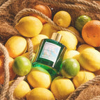 COCORRÍNA Reed Diffuser - Hawaii Melody 6.7 Fl.oz Reed Diffuser Set with 8 Sticks & Preserved Baby's Breath, Reed Diffuser for Home Bathroom Shelf Decor