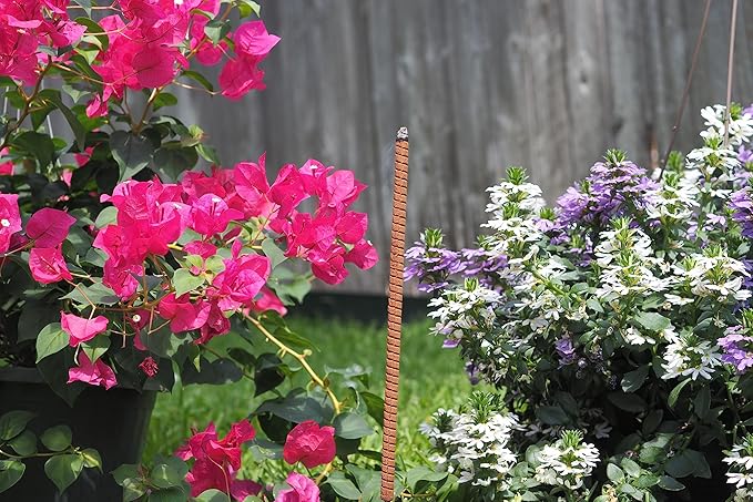 48-Pack All-Natural Incense Sticks, 36-Hour Outdoor Protection, Flora Geraniol, Chemical-Free & USA Crafted