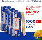 Raajsee Incense Stick Holder Bundle with Satya Nag Champa Incense Sticks 250 gmx 4 Pack (1000 GMS), Insense Sticks Nag Champa Agarbatti