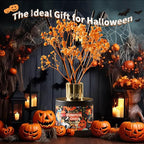 Airkeep Reed Diffuser Set,3.38 fl oz (100 ml) - Pumpkin Chai Oil Diffusers with 8 Reed Sticks, Home Fragrance Reed Diffuser for Bathroom Shelf Decor