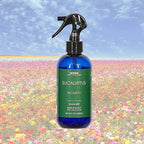 Aromar Essential Room Mist and Fabric Spray with Natural Freshener Aromatherapy for a Fresh and Rejuvenated Home 8 oz Eucalyptus