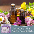 SMELLS BEGONE Odor Eliminator Gel Beads - 12 oz, Pack of 2 - Eliminates Odor in Bathrooms, Cars, Boats, RVs & Pet Areas - Air Freshener - Made with Essential Oils - Lavender Vanilla Scent