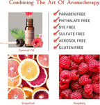 Clean-n-Fresh Toilet Spray 6.8 Oz, Hibiscus Scent, Bathroom Odor Deodorizer, A Great Air Freshener for Room, Home, Travel Size, Up to 400+ Uses, 2 Pack