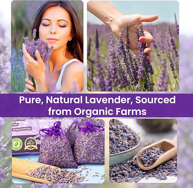 14 Pack Organic Lavender Sachet Bags for Drawers and Closets - Natural Fresh Dried Lavender French Potpourri Bags for Clothes Storage - Scented Sachets for Drawers, Wardrobes, Cars & Home.