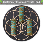 Cedar Smudge Sticks 4 Inch | Cedar Sage Smudging Wands | Wholesale Sage Bulk Sage Kit | Salvia Blanca para Limpiar | Sustainably Sourced California Sage