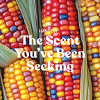 Yankee Candle Harvest, Fall Scented Candle, 22oz Large Jar with up to 150 Hour Burn Time