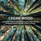 Large 12 Packs Cedar Wood Hanging Closet Deodorizer Air Freshener Long Lasting Scented Sachets Smell Goods for House