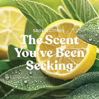 Yankee Candle Sage & Citrus Scented Candle, 22oz Large Jar with up to 150 Hour Burn Time, Giftable, Birthdays