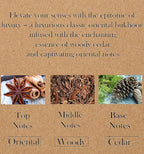 ARABIYAT Oud Wood Incense Charcoal Chips - Agarwood | Oudh Bakhoor Muattar | Arabian Oud Sticks | Inciensos Aromaticos para La Casa | Long Lasting Fragrance | Use for Meditation and Relaxation - 25g